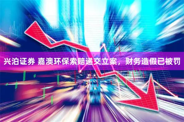 兴泊证券 嘉澳环保索赔递交立案，财务造假已被罚