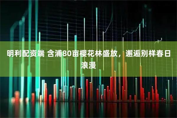 明利配资端 含浦80亩樱花林盛放,邂逅别样春日浪漫