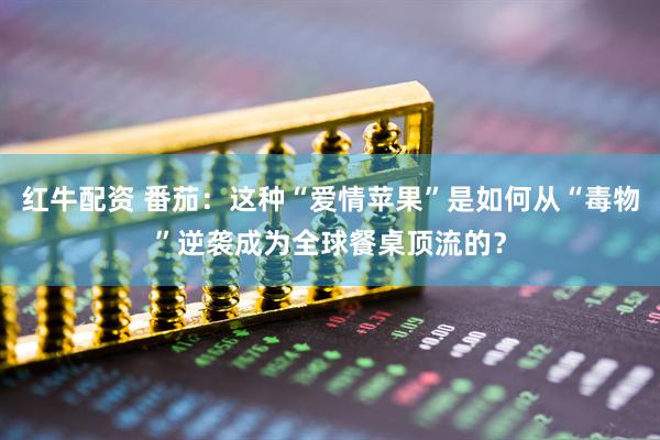 红牛配资 番茄:这种“爱情苹果”是如何从“毒物”逆袭成为全球餐桌顶流的?