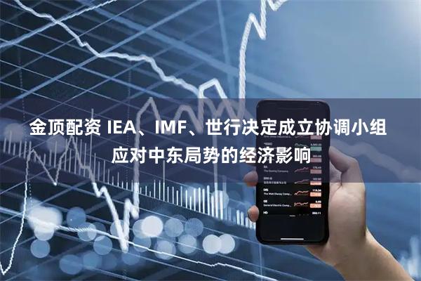 金顶配资 IEA、IMF、世行决定成立协调小组 应对中东局势的经济影响
