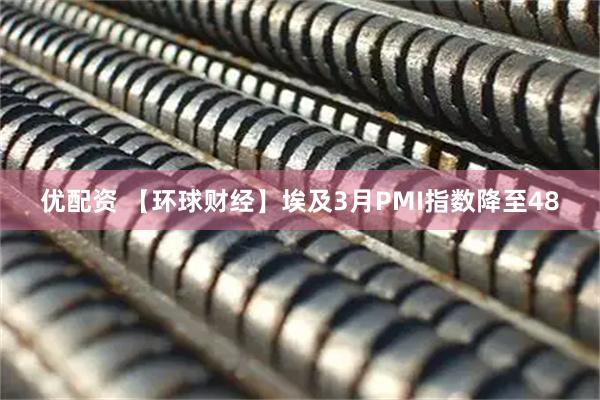 优配资 【环球财经】埃及3月PMI指数降至48