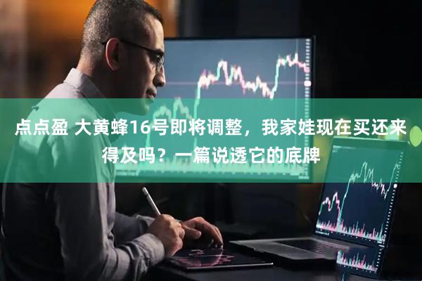 点点盈 大黄蜂16号即将调整，我家娃现在买还来得及吗？一篇说透它的底牌