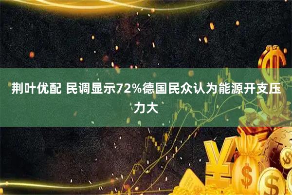 荆叶优配 民调显示72%德国民众认为能源开支压力大