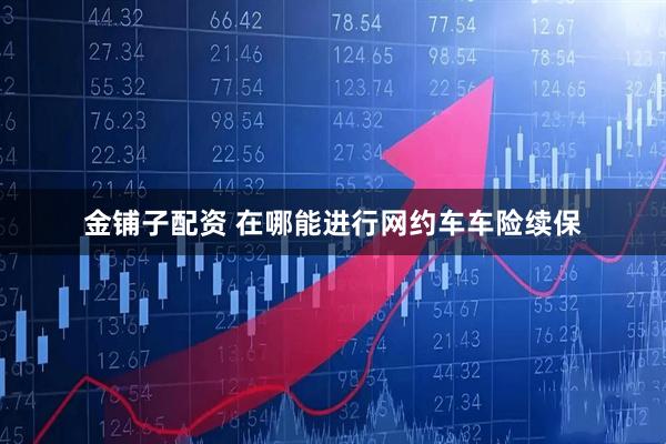 金铺子配资 在哪能进行网约车车险续保