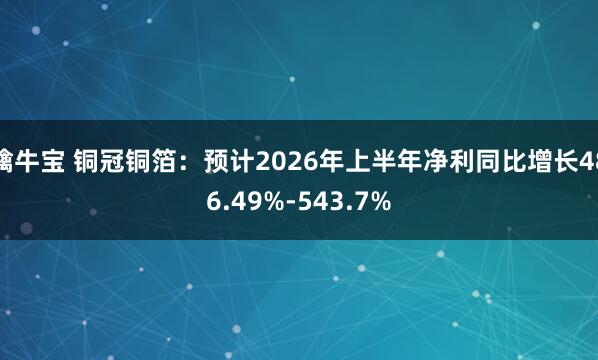 擒牛宝 铜冠铜箔:预计2026年上半年净利同比增长486.49%-543.7%