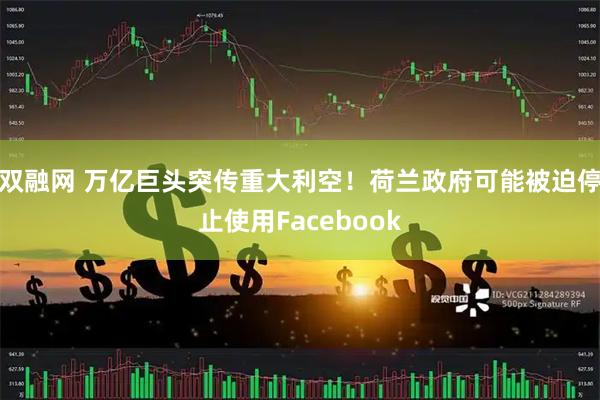 双融网 万亿巨头突传重大利空！荷兰政府可能被迫停止使用Facebook
