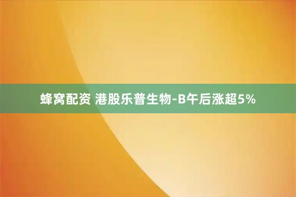 蜂窝配资 港股乐普生物-B午后涨超5%