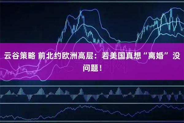 云谷策略 前北约欧洲高层：若美国真想“离婚” 没问题！