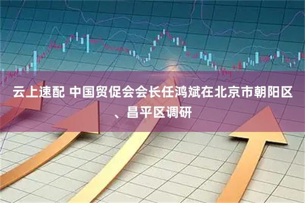 云上速配 中国贸促会会长任鸿斌在北京市朝阳区、昌平区调研