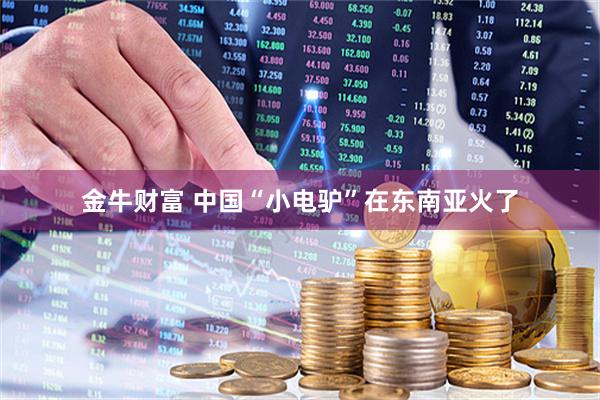 金牛财富 中国“小电驴”在东南亚火了
