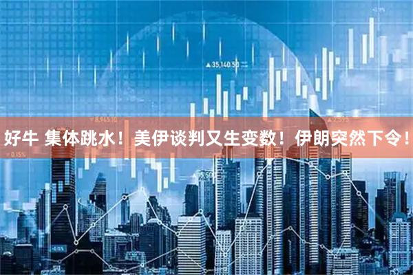 好牛 集体跳水！美伊谈判又生变数！伊朗突然下令！