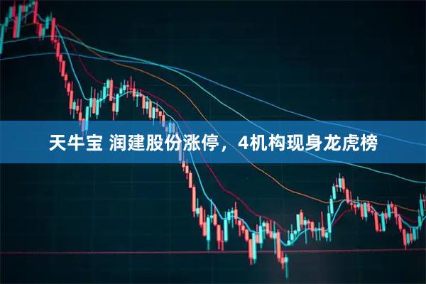 天牛宝 润建股份涨停，4机构现身龙虎榜