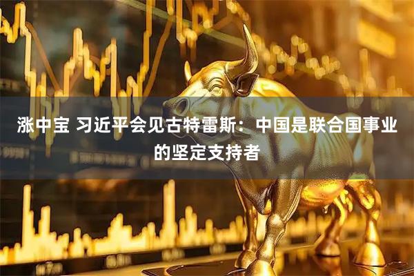 涨中宝 习近平会见古特雷斯：中国是联合国事业的坚定支持者