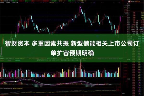智财资本 多重因素共振 新型储能相关上市公司订单扩容预期明确