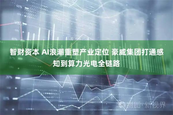 智财资本 AI浪潮重塑产业定位 豪威集团打通感知到算力光电全链路